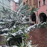 Dom Trento