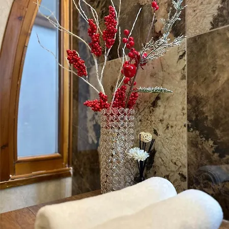 Apartment Dom Trient